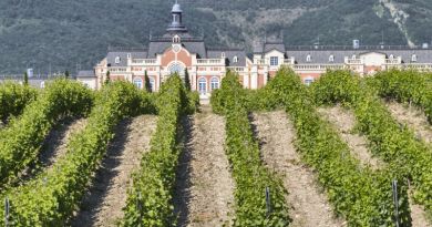 Экскурсия из Геленджика: Шато де Талю - Замок виноделия в Геленджике фото 11721